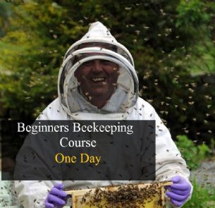 One Day Beginners Introduction To Beekeeping